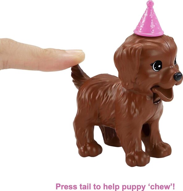 Box Barbie-Puppe zum Welpengeburtstag