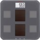Solar Fit Personenwaage