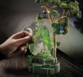 PLAYMOBIL 71009 WILTOPIA RAINFOREST